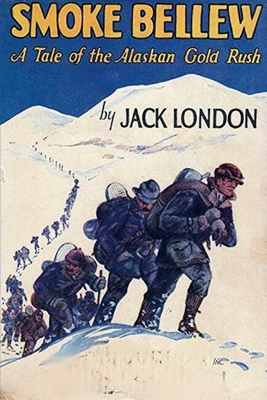 Book Cover Variant Thumbnail